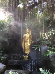 IMG_0103