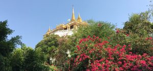 IMG_0127