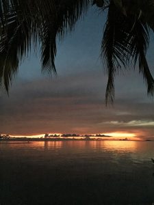 IMG_0199 (2)