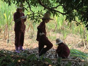 IMG_0508 (1)