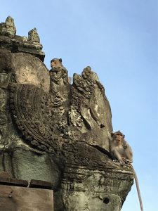 IMG_3820